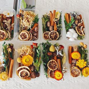 �}�Q�ɹ��ɻ�������ɹ��ɻ�diy���ϰ��o����޹�b���Ȼֲ��ɻ�