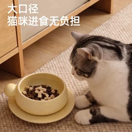 猫猫包、箱;猫猫玩具;猫厕所