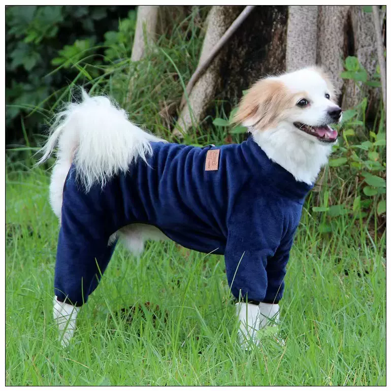 跨境冬季狗衣服中小型犬加厚保暖棉服狗狗四脚衣宠物衣服可牵引