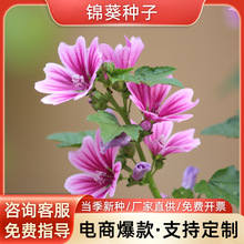 \Nļ׷NͥԺ̨׻N^Ѹ߳ѿ