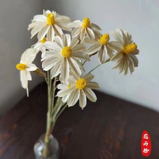 �����mľ�Ȼ���Ȼֲ���ֹ�ˇ�g�ɻ��Ҿ��b廨�[��С����С�I��