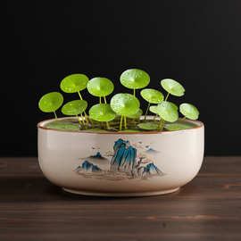 大号水仙花盆陶瓷碗莲水培专用无孔哥窑盆家用铜钱草水养植物器皿