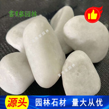 �C����ʯɢ䁰�ʯ���F��ʯ�I ����ɳ��ɳ���ð�ɫ�Z��ʯ2-4cm