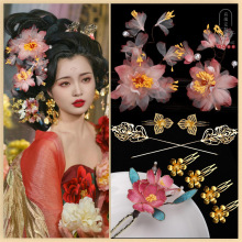 ���b�h�����L�ll�A�l�O�����ɚ��ɫ���A߅�A�������LTZ-019