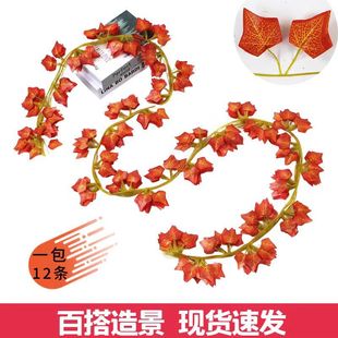 ����72�~�tɫ�ٗl�ع��٘��~�b�������ɽ�����ֲ��ܵ��p�@�ړ�