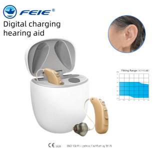 Feie New Hearing Aid Cross-Border Digital Charging 16-Channel English Noise Reduction Elderly Deafness High-Power Hearing Aid