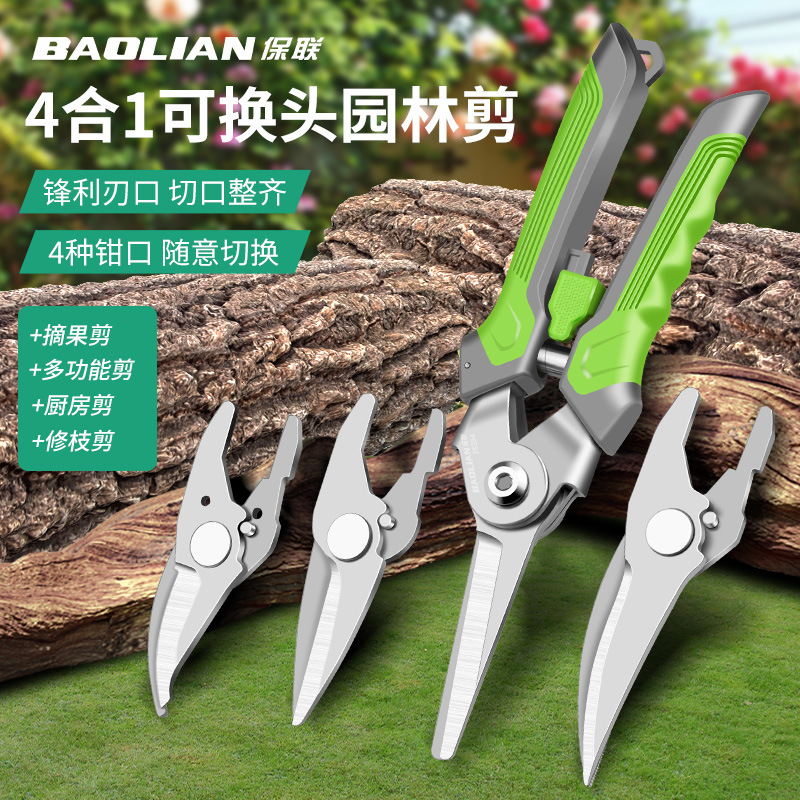 保联园艺果树剪刀修剪树枝盆栽神器家用绿化剪刀枝修剪刀专工具