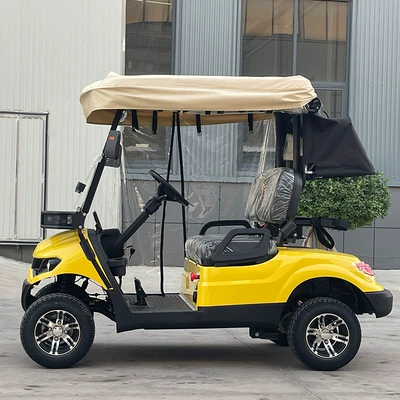 Elektrikli qolf avtomobilləri cart, amusement park resort