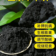 ��ľ�ҷ����r�Ҽ��ЙC���׷ʵ���̼���l�I�B����Ȼ����������