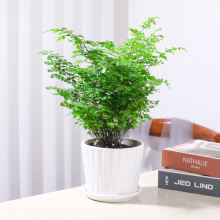 �F��ާ��ֲ���Կ͏d����ȩ�Gֲ�Pβާ�F�z���҃��ͺ����ާ�ֲ��