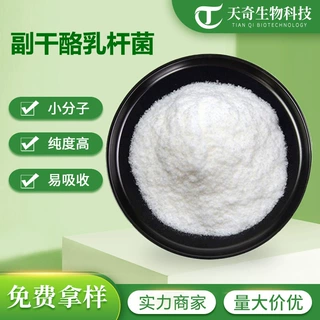 副干酪乳杆菌 多规格 副干酪乳杆菌冻干粉 副干酪乳杆菌 现货