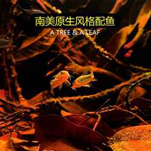 ���N�C��������w���{����͸�����o��늳س����늙C��݆ƽ݆���b