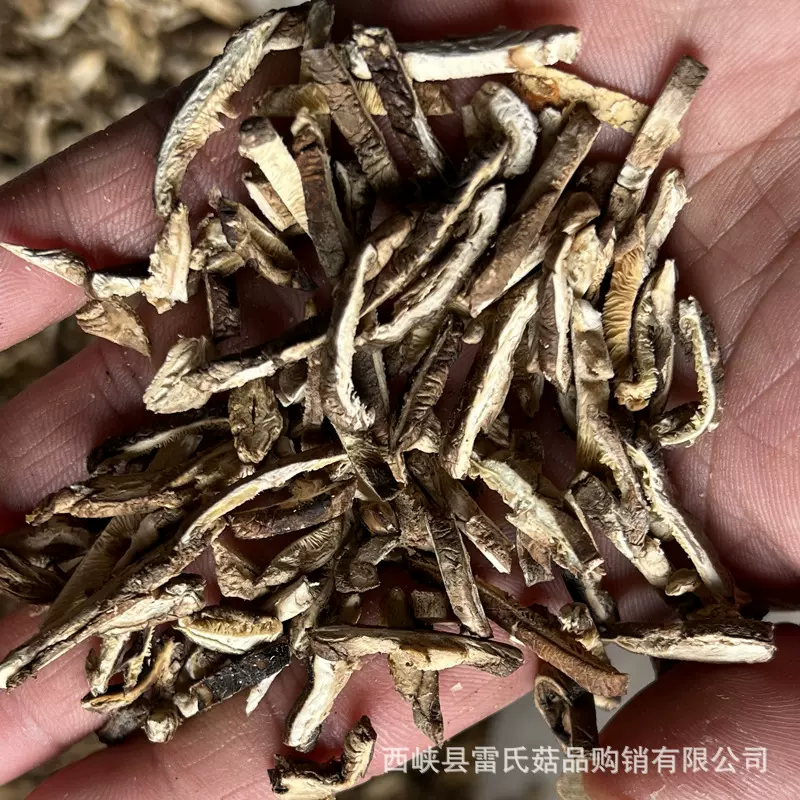 香菇丝机制3mm食用农产品小香菇切丝散装5斤起批包邮菌菇一级品