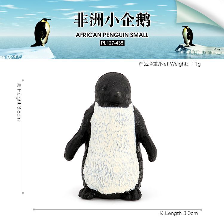 PL127-435非洲小企鹅