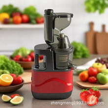 Household juicer residue separation without filtrationե֭�C