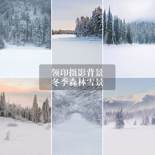 ѩ����������ˇ��ɫ�¿��ɭ��ѩ���Շ��鼆Ӱ�ǵ��߱�����