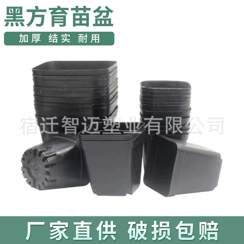 Мясо цветочный горшок маленький черный квадрат утолщенные и дышащие маленькие цветочные горшки садовые принадлежности пластиковые растения седень горшок завод оптом