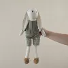 Lop-eared rabbit in green pants (real shot, high quality)