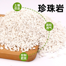 珍珠岩颗粒养花用保温硬质多肉蛭石园艺兰花种植料育苗专用营养土