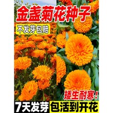 ��K�շN���ļ����N�_���ͺ�̫ꖻ��N�������L���մ��K���N����