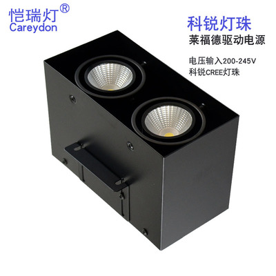 cob Double head Fang Tong Bean pot lamp led Two square Grille Bold Spotlight black Career Lamp beads Carol lighting