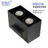 cob Double head Fang Tong Bean pot lamp led Two square Grille Bold Spotlight black Career Lamp beads Carol lighting