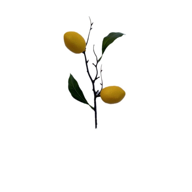 New year living room decoration simulation fruit high-end photography props fruit plant decoration red fruit simulation Persimmon_voghion.com