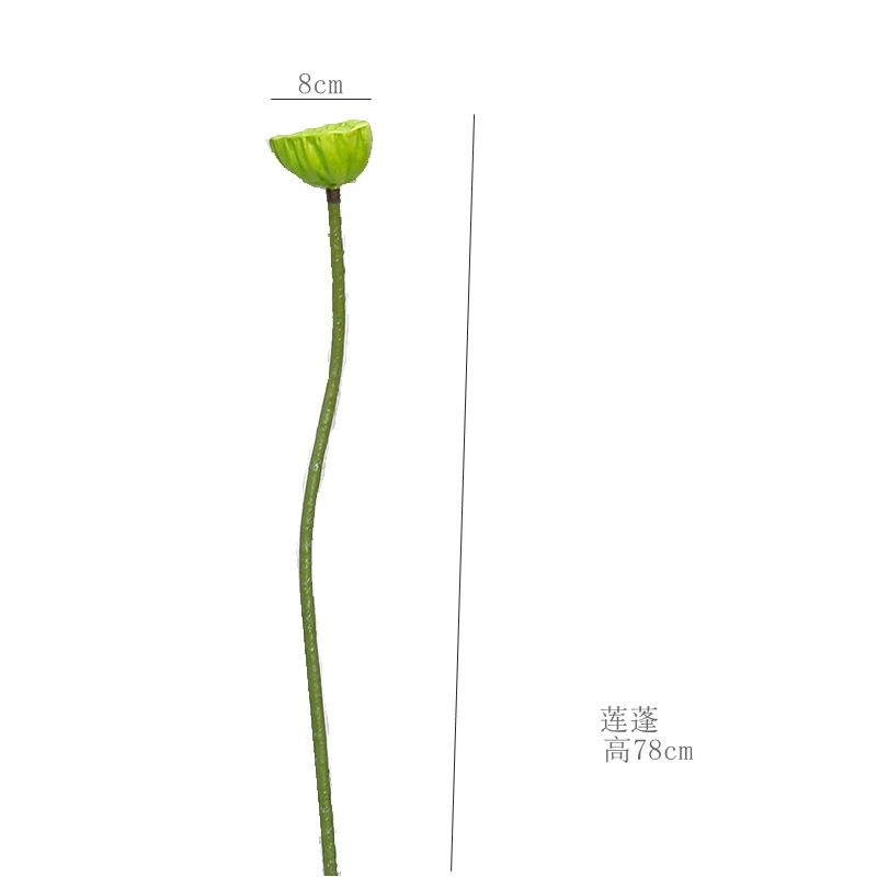 그린 로터스