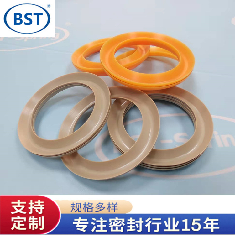 工厂供应 径向双向组合密封 V型密封 改性聚四氟PEEK 机械密封