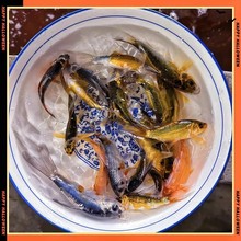 �\���~���~�����^�p�~��ˮ�Lˮ�ͻ��~�����~���~��ˮ����