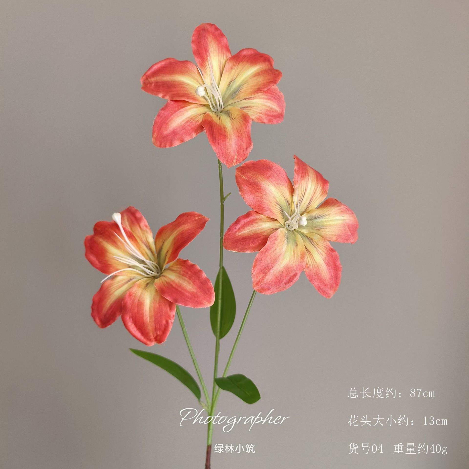 품목번호 04-헤메로칼리스 백합(주황색)
