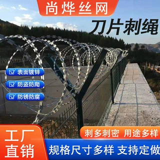 防锈刀片刺绳防盗刀刺网镀锌刺丝周界围栏网 物理隔栏 烤漆钢丝网