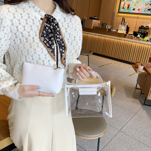 包包批发跨境子母包外贸二件套手拎单肩斜挎包百搭透明链条包