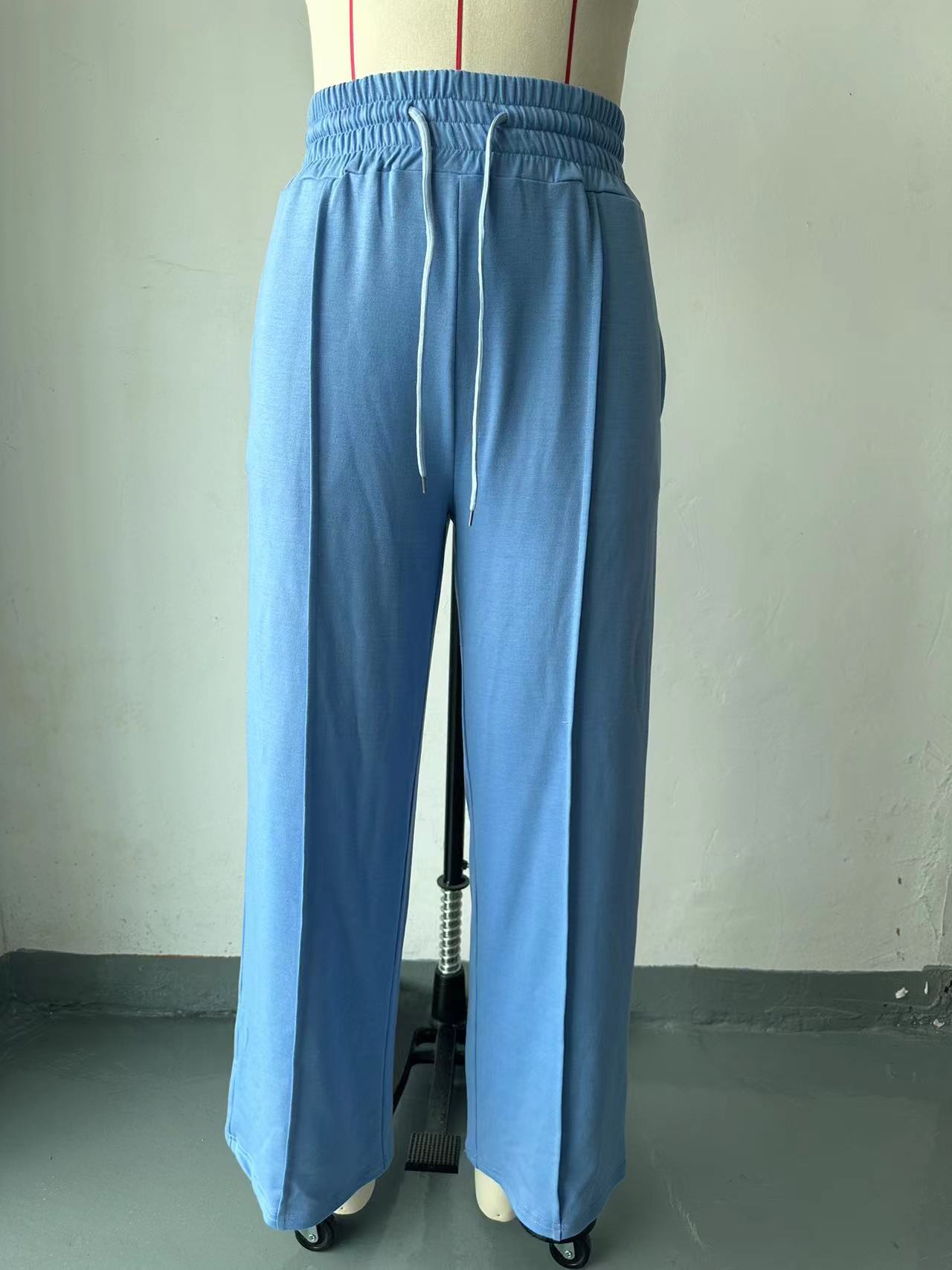 Women's Daily Streetwear Solid Color Full Length Casual Pants Wide Leg Pants display picture 1