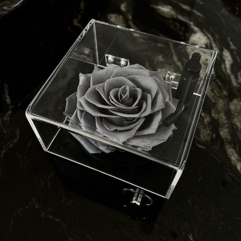 Flor eterna fonógrafo Luz de gama alta de lujo altavoz Bluetooth Rosa caja de música Regalo de Cumpleaños de los hombres para la novia