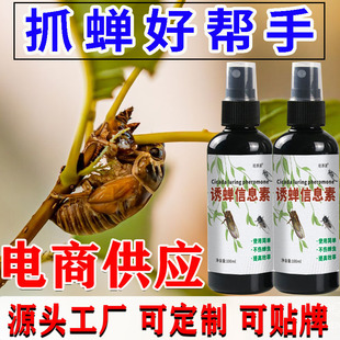 �T���s��Ϣ��ץ֪�˺ﲶ׽��ץ�������s��Ϣ�������s����