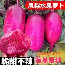 �P��t��ˮ���}���N��-�tƤ�������}���N��-���N�}���N�Ӵ�ȫ