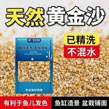 ��ϴ�S��ɳ���^�~�~���쾰��ɰ�b�ʯ�^������ɳ���yɳ����ˮ��