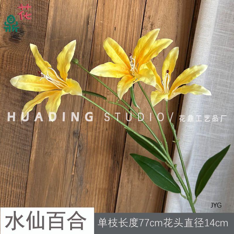 Hoa thủy tiên Lily JYG màu vàng