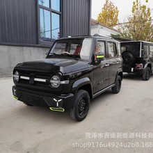 新能源代步四轮电动车家用汽车油电混动电瓶车新款