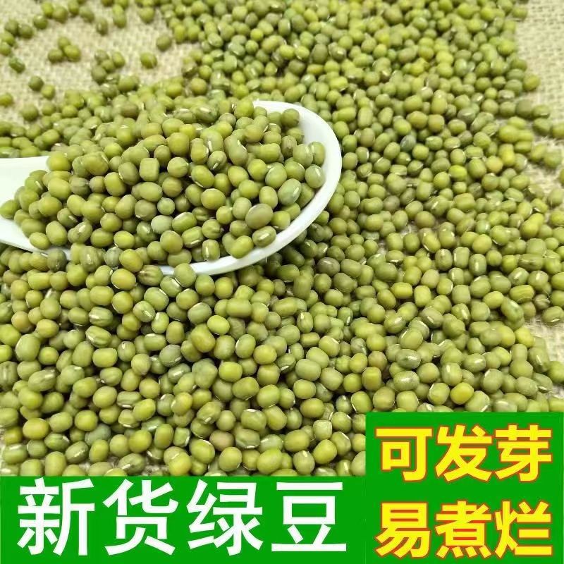 新货真空绿豆5斤发豆芽煮粥绿豆汤东北农家新鲜笨绿小豆1斤批发