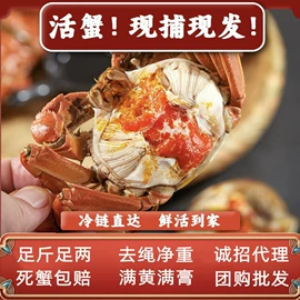 大闸蟹;熟食/即食菜;豆腐干