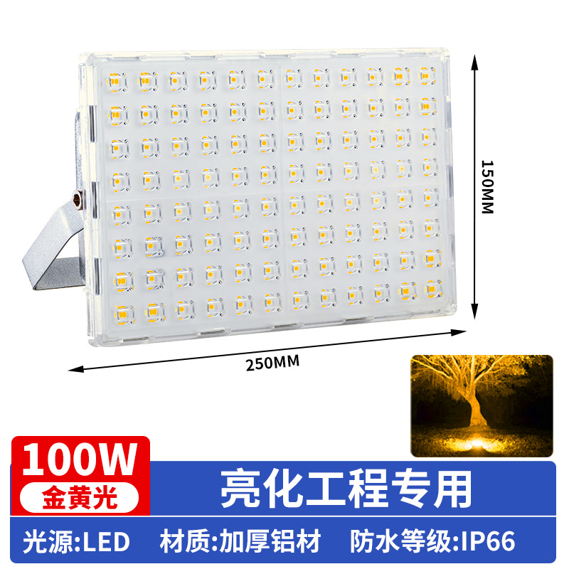 Monochrome golden light [100w] lighting project special lamp