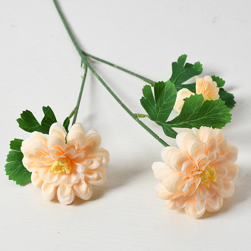 Champán de caléndula