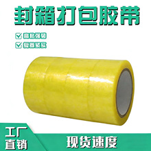 �S�ҹ��������z��5cm͸���� ����z���l