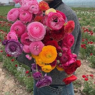 ��ëݢ�ذꎧѿ��ĵ���N�����Ը������~ĵ���N��ͥԺ�ͺ��ļ�����