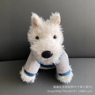 �����Ȥζë�q��ż�ɐ����ް��ṫ����������Ů�����չ��նY��