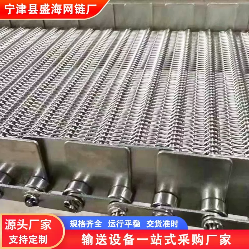 304不锈钢输送带淬火炉网带食品药材烘干果蔬清洗风干输送链网