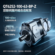 双联泵伺服内啮合齿轮泵QT6252-100-63-BP-Z液压油泵QT5242-50-40
