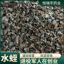 东北无硫吊干 水蛭饮片新货干货支持磨粉量大从优 退役军人在创业